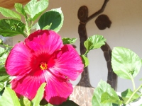 Hotel Puku Vai on Easter Island