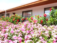 Hotel Puku Vai on Easter Island